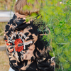 Dyed Shop Hoodie